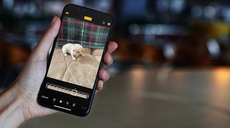 Med Googles nya verktyg kan du överföra Live Photos från iOS till Android