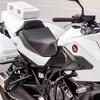 Honda NT1100 Polisskiss 12