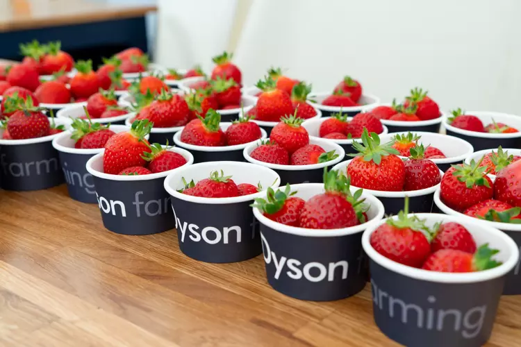 Redaktörens notis: jordgubbar, dammsugare och brittisk ...