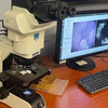 Google och Pentagon har utvecklat ett mikroskop baserat på artificiell intelligens för cancerdiagnos-5