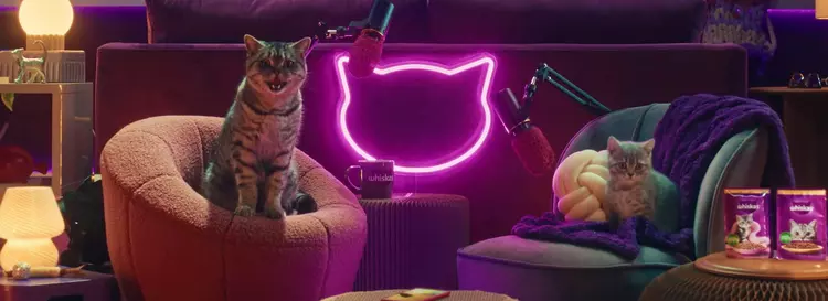 Whiskas har lanserat Purrcast-podden: katter pratar ...