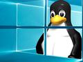 post_big/linux-penguin-in-windows-10-pc.jpg