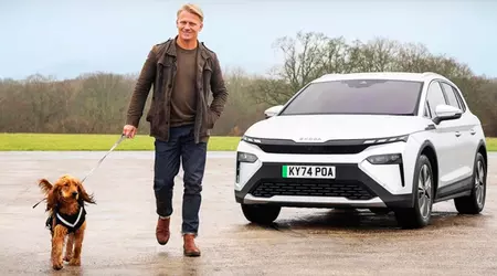 Hundar väljer elbilar: studie visar på mindre stressiga resor