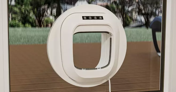 Flappie: en dörr som inte går ...