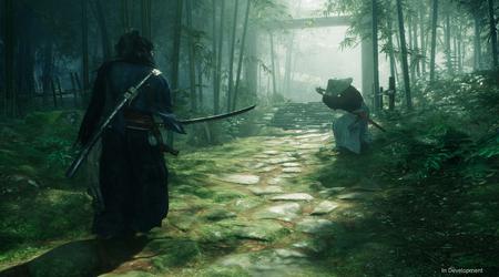 Rise of the Ronin kommer att stödja onlinespel för upp till fyra spelare