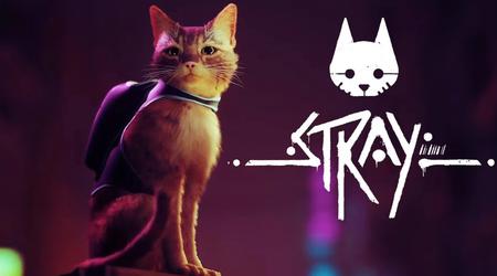 Dagens spel: Stray - en röd katts cyberpunkresa genom en förstörd värld finns nu på Nintendo Switch