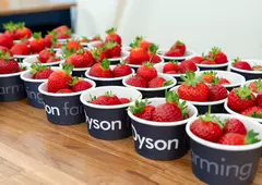 Redaktörens notis: jordgubbar, dammsugare och brittisk surf - hur Dyson förvandlade en gård till ett laboratorium för framtiden