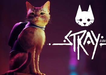 Dagens spel: Stray - en röd ...