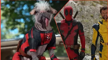 Låt hundarna gå: Ryan Reynolds tillkännager sommarlanseringen av Deadpool 3 och presenterar den nya lurviga hjälten Dogpool