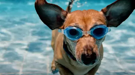 Veo 2 videogenerering tillagd till Gemini Advance - du kan skapa filmkvalitetsklipp upp till 8 sekunder