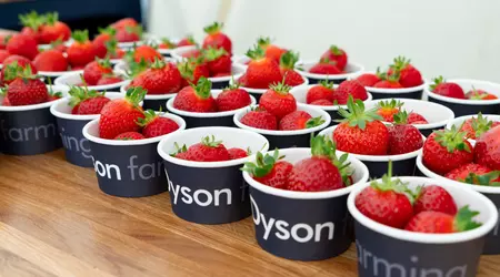 Redaktörens notis: jordgubbar, dammsugare och brittisk surf - hur Dyson förvandlade en gård till ett laboratorium för framtiden