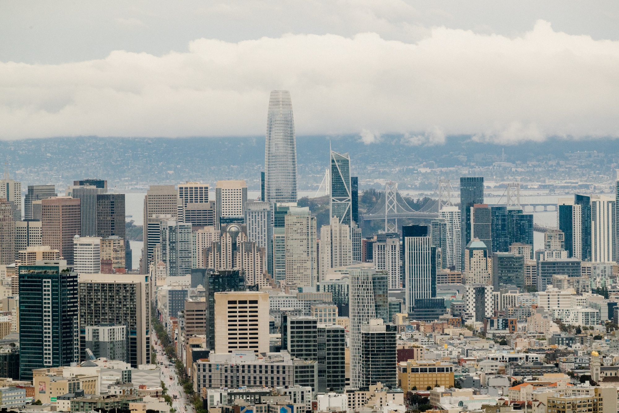 Artificiell intelligens leder till fler anställningar vid teknikföretag i San Francisco
