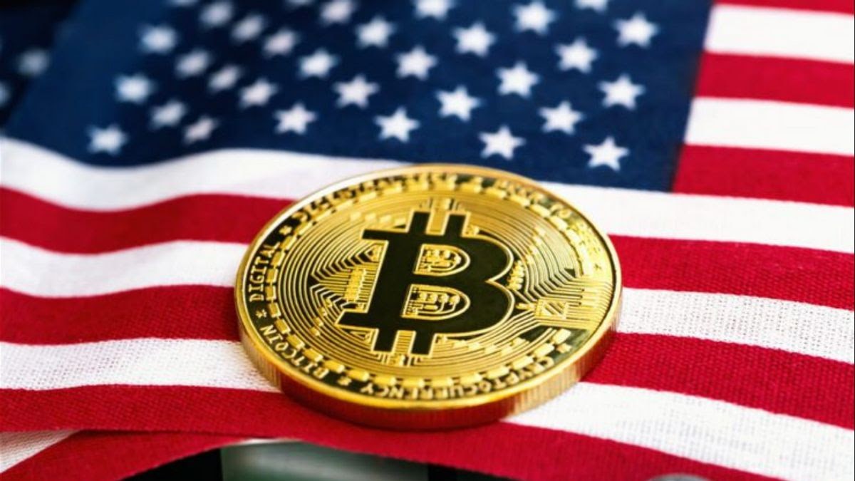 Bitcoin och USA: analys av möjliga scenarier för framtida interaktioner