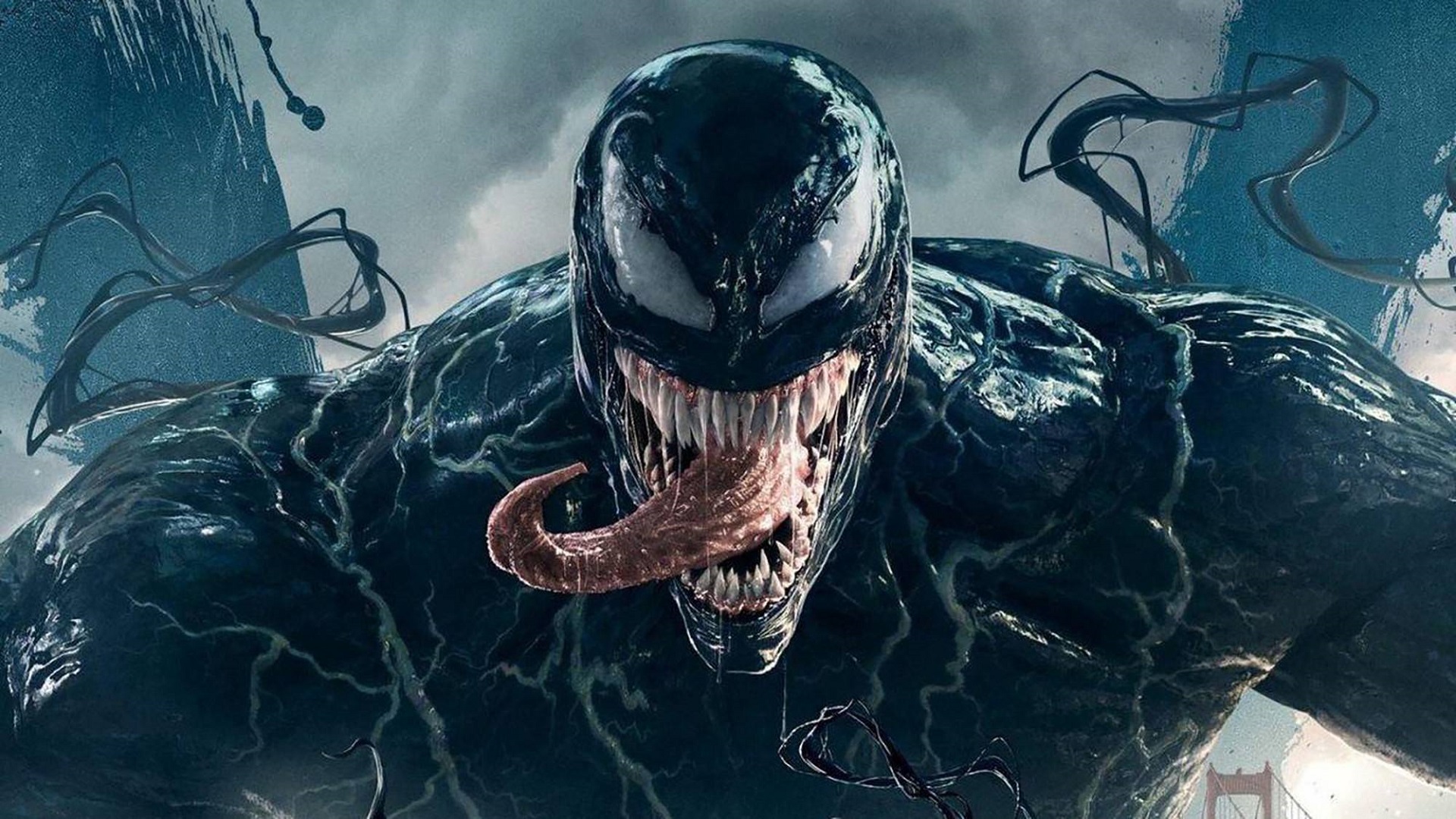 En symbios mellan film och vetenskap: en ny art av giftig spindel har upptäckts i Australien och fått sitt namn efter Marvels antihjälte Tom Hardy.