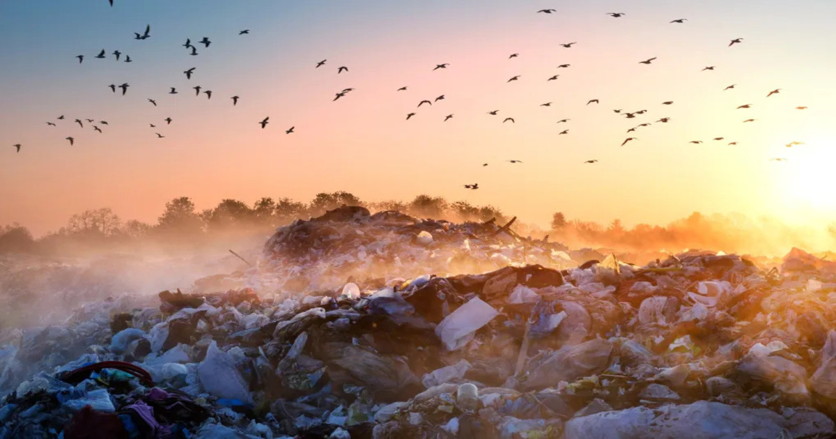 Ny studie visar deponiernas allvarliga inverkan på klimatet