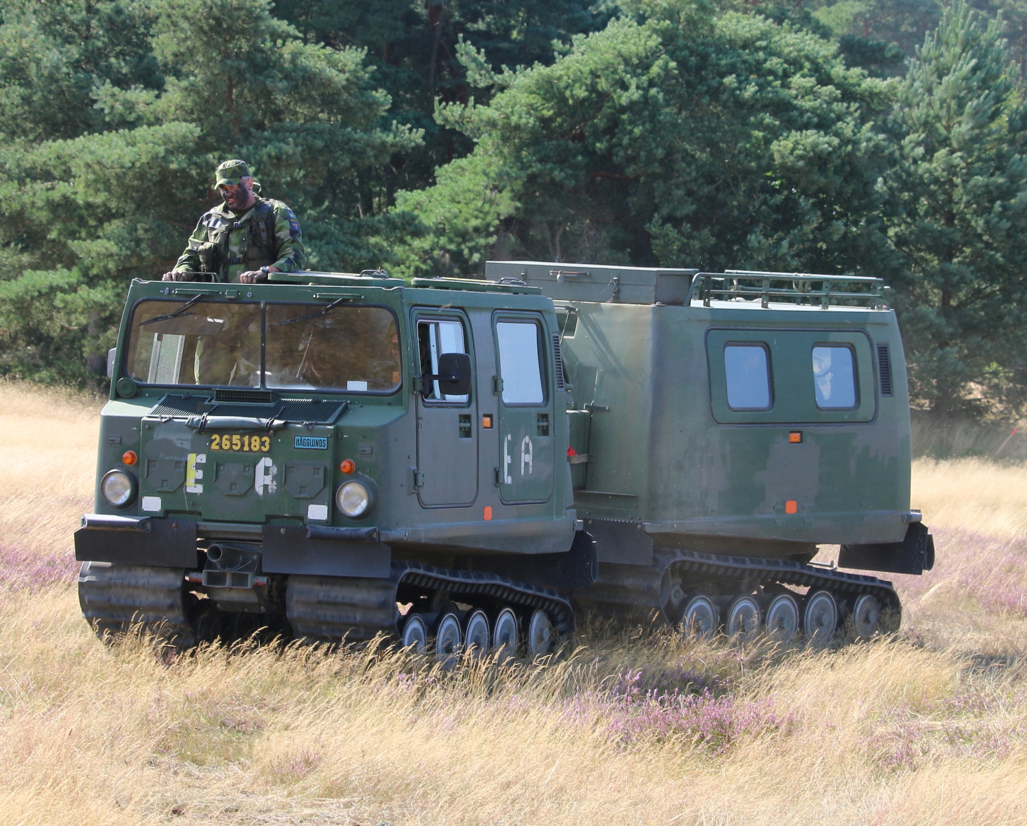 Leopard-radioapparater, Bandvagn 206 pansrade terrängfordon och WISINT 1 minröjningsfordon: Tyskland ger Ukraina ett nytt vapenpaket