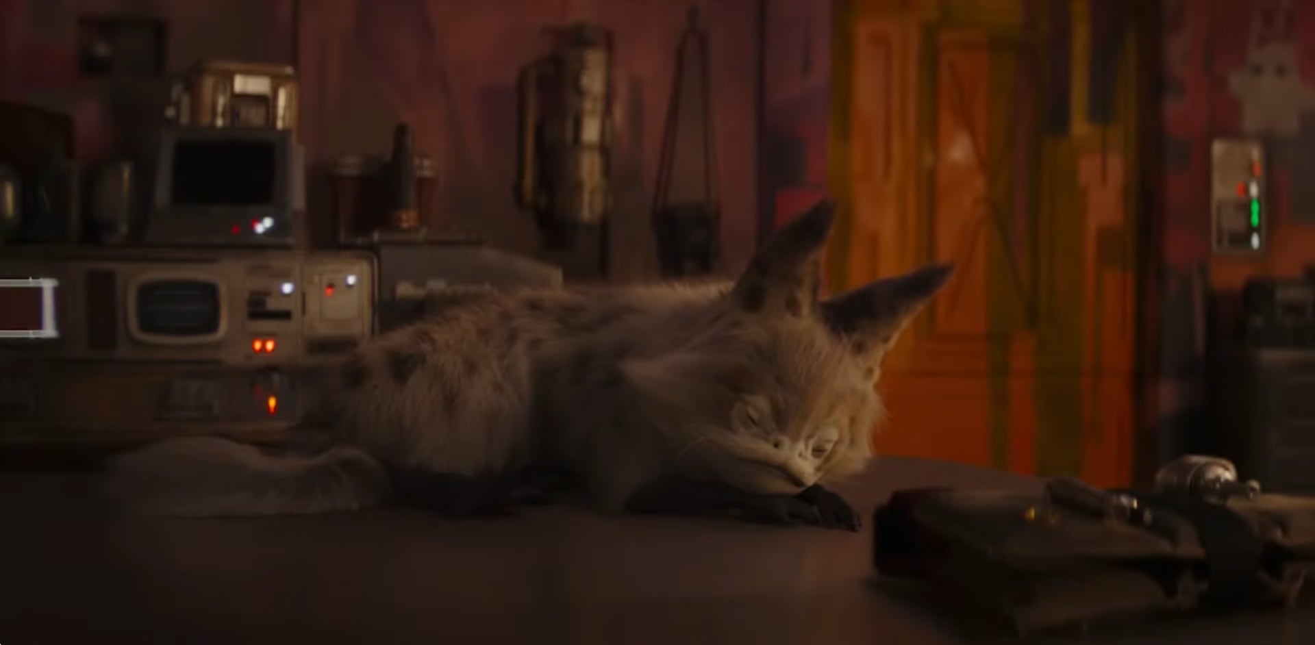 Disney har släppt en 12 timmar lång video av Sabine Wrens lothkatt som sover, den har fått 200 000 visningar