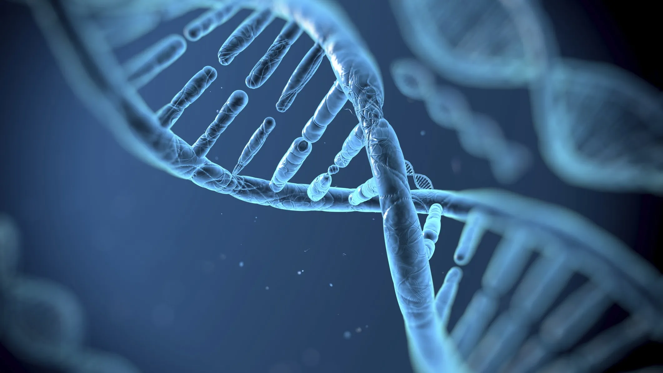Biometry tillkännagav ett 1KB-minneskort för 1000 USD som lagrar data i DNA i upp till 150 år