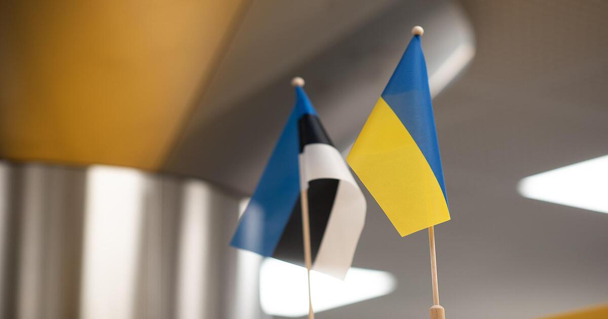 Estland tillkännager nytt stödpaket värt 20 miljoner euro