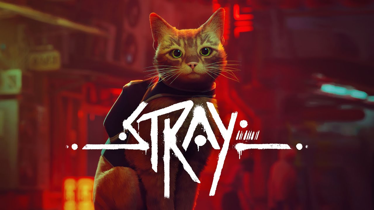 Stray kommer att finnas tillgänglig på Xbox den 10 augusti