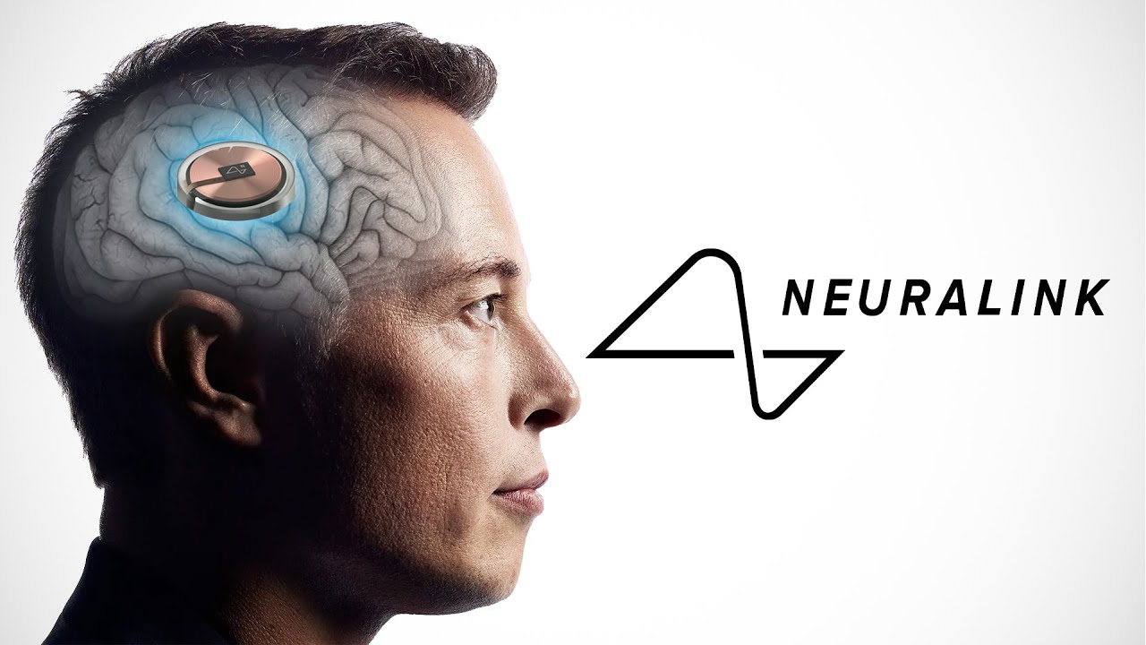 Inte en enda apa dog - Musk hävdar att Neuralink hjärnimplantat är säkra