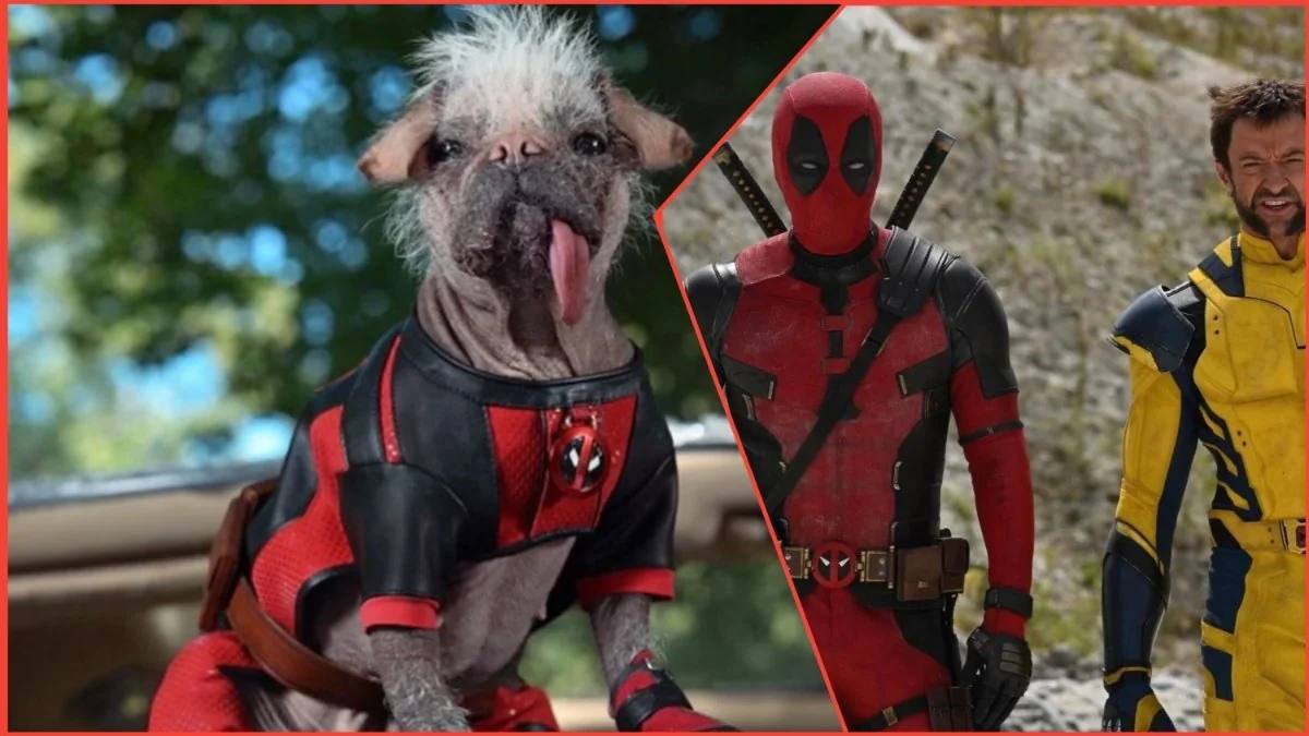 Låt hundarna gå: Ryan Reynolds tillkännager sommarlanseringen av Deadpool 3 och presenterar den nya lurviga hjälten Dogpool