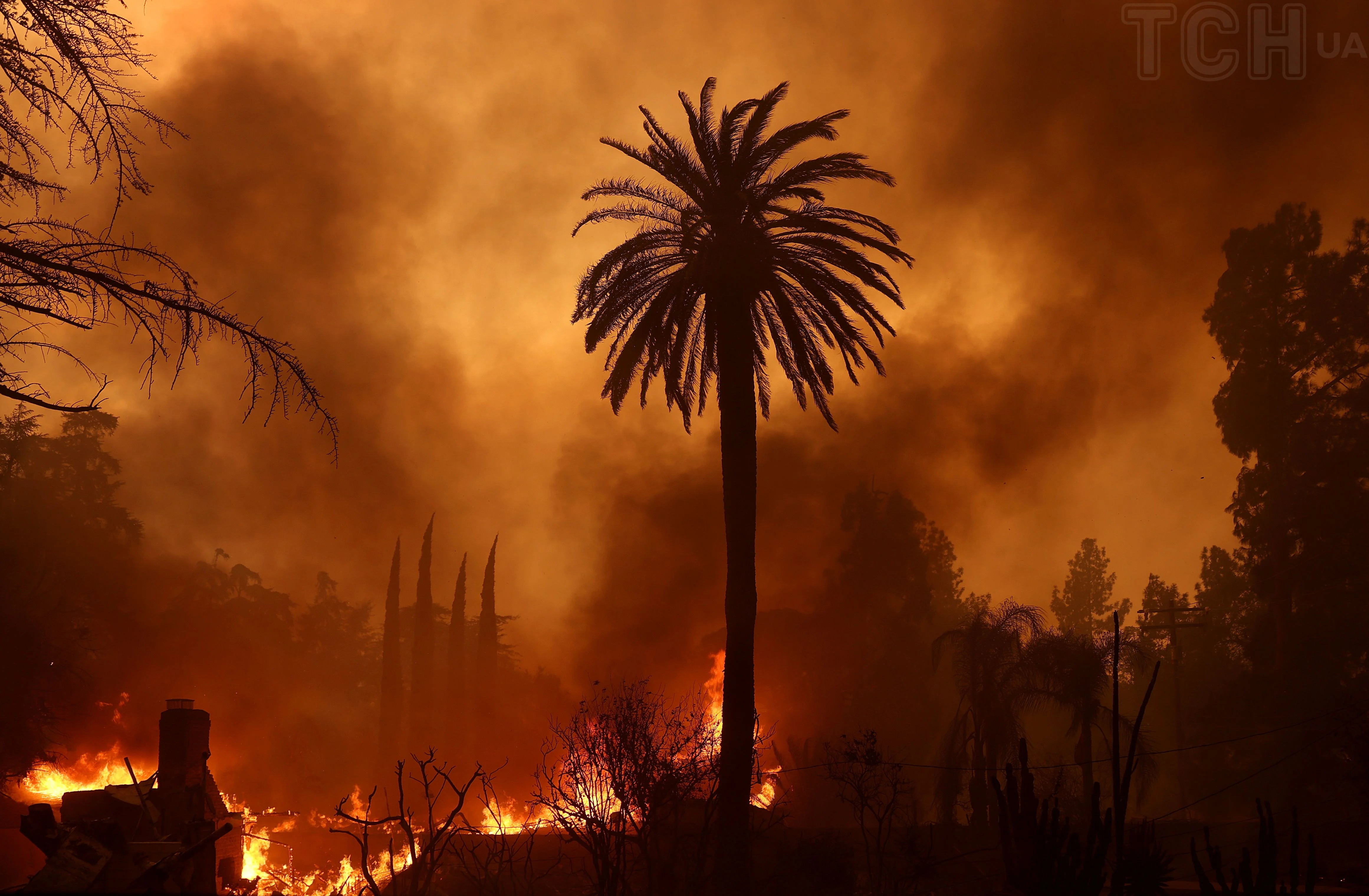 Skogsbrand i Los Angeles