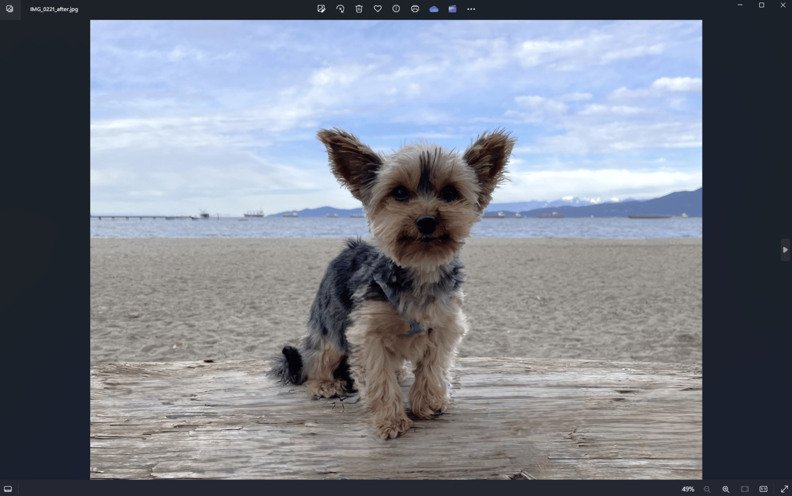 Microsoft lägger till AI-drivet verktyg för generativ radering av objekt i Windows Photos-appen-2