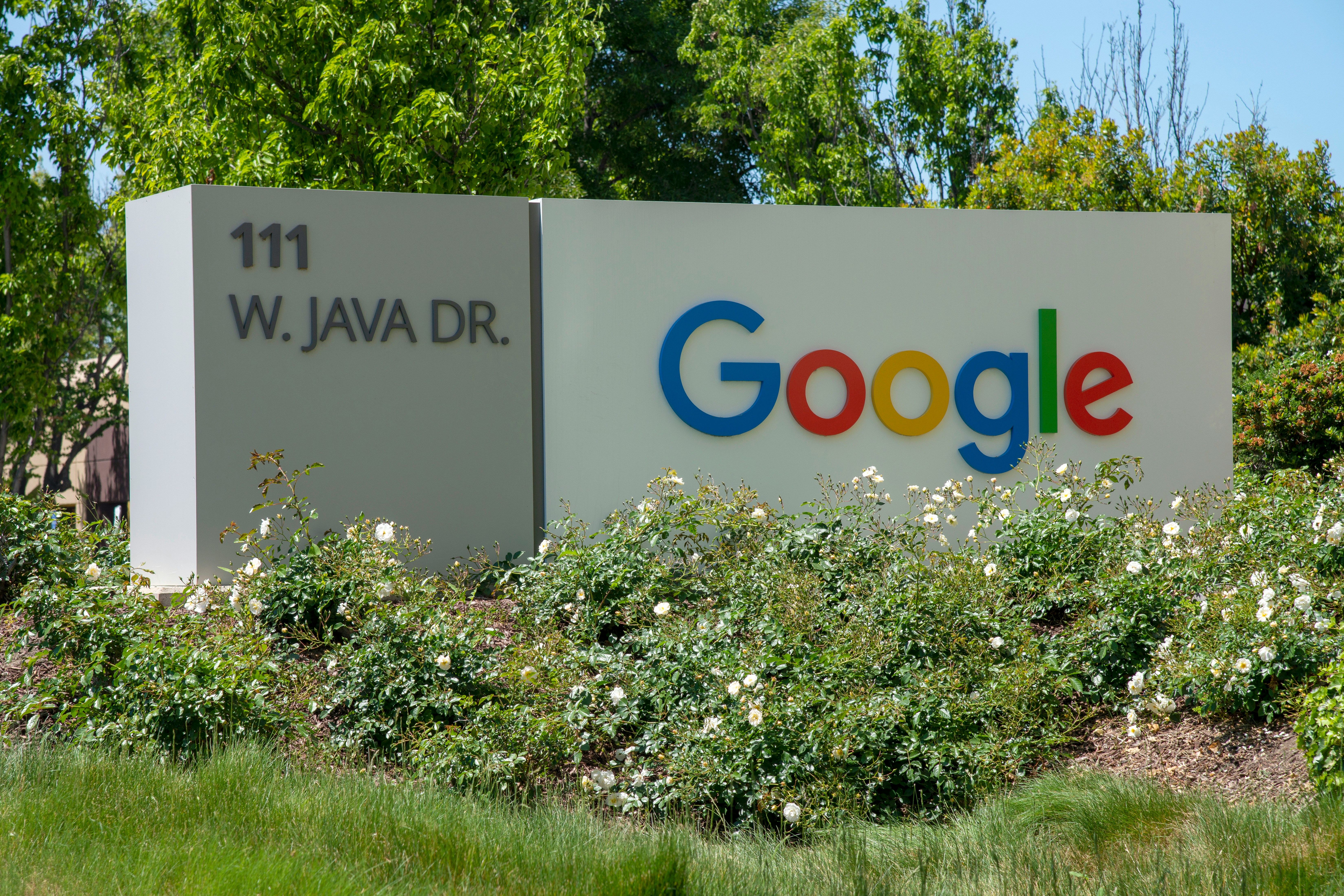 Google har hävt ett kontrakt med en entreprenör som hjälpte till att utbilda chatboten Bard