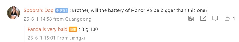 Honor Magic V5 image