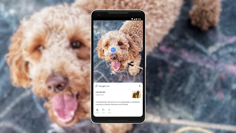 Google Lens får AI-baserad svarsgenerering för visuell sökning
