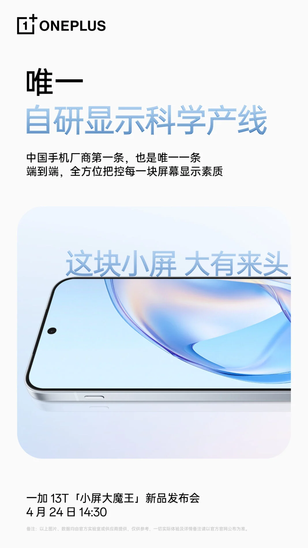 OnePlus 13T displayinformation