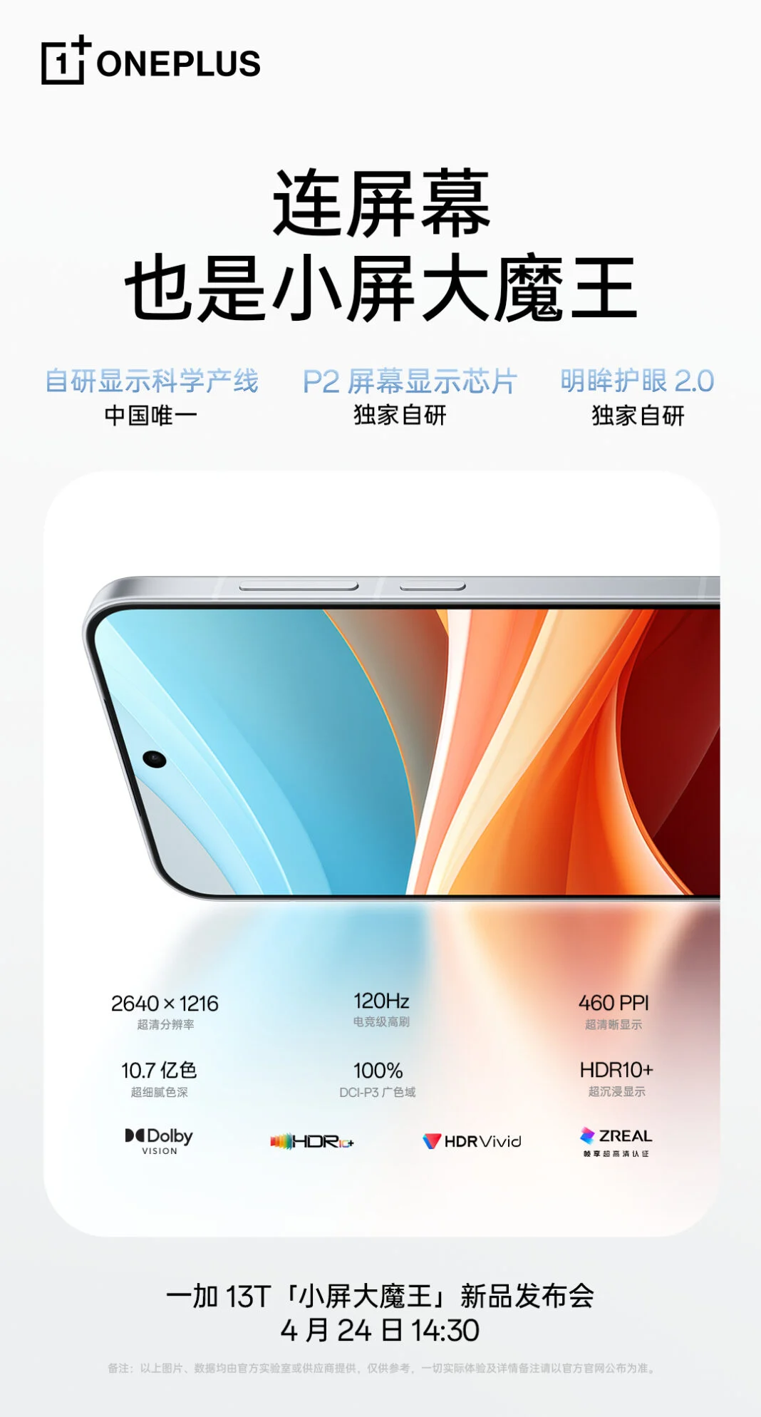 OnePlus 13T displayspecifikationer