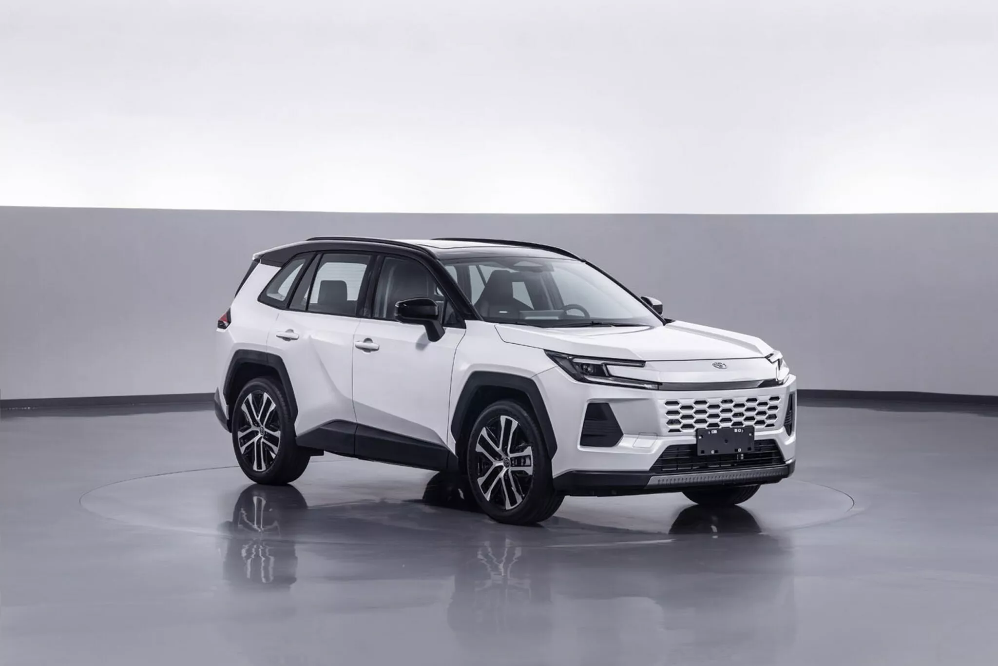 GAC Toyota Wildlander i bildrutan