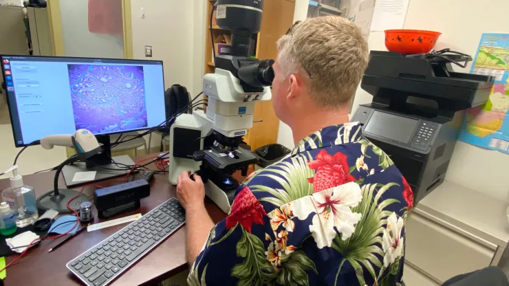 Google och Pentagon har utvecklat ett mikroskop baserat på artificiell intelligens för cancerdiagnos-4